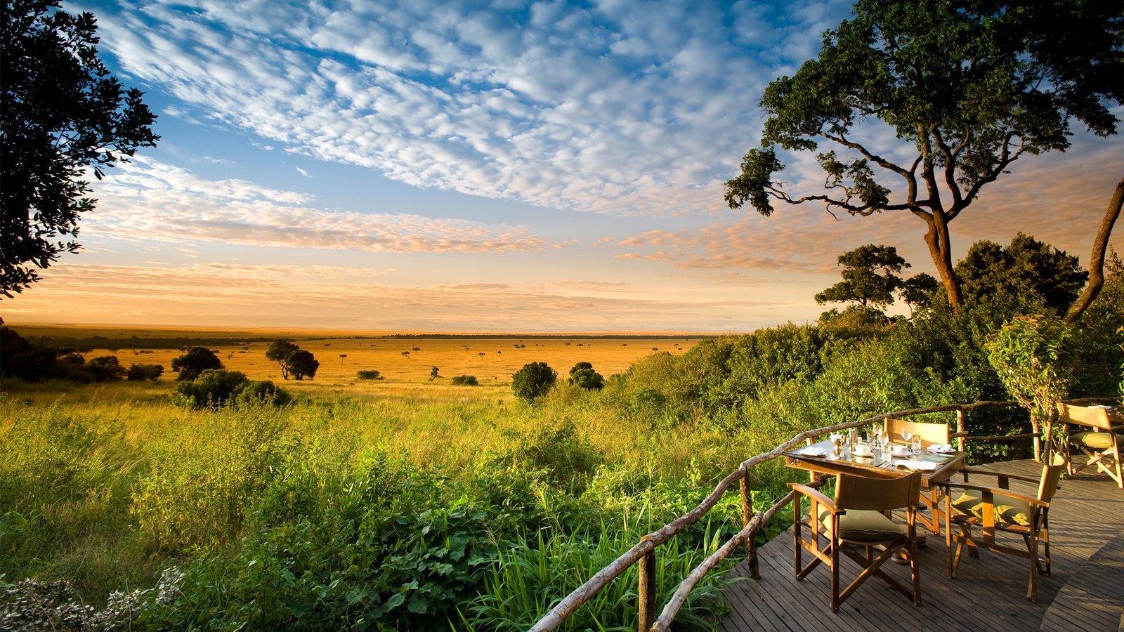 Experience the Wild: Unforgettable Adventures in Kenya