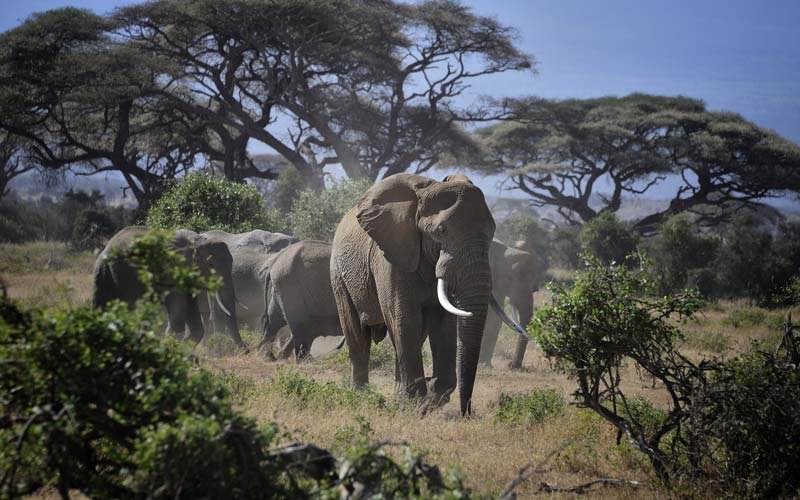 Blog Sustainable Tourism in Tanzania