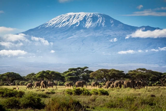 Explore Kilimanjaro Climbing Routes and Conquer Africa’s Majestic Peak with Signature Safari