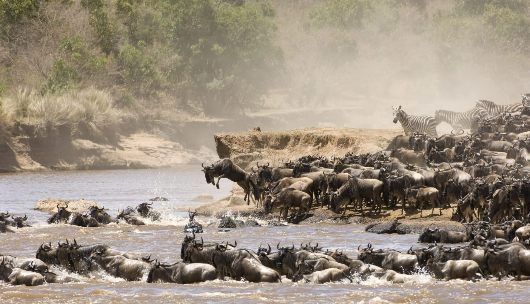 How to Plan an Epic Tanzania Migration Safari in the Serengeti